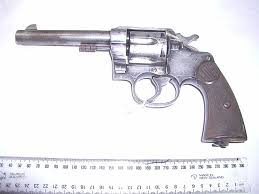Image result for Colt 220