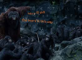 Planet Of The Apes Memes 2 Planet Of The Apes Amino