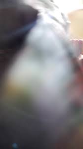 Indian upskirts - ThisVid.com