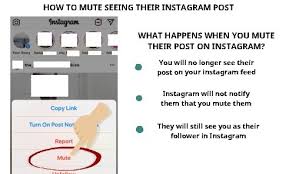 How to mute annoying friends on instagram? How To Mute Someone On Instagram My Media Social
