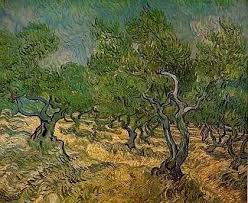 Olive Grove Vincent Van Gogh Van Gogh Olive Trees Vincent Van Gogh Paintings Van Gogh Paintings