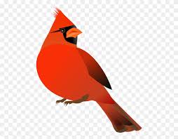 Cardinal Baw Cardinal R Ggif Cardinal Tattoo Bird Clipart Transparent Stunning Free Transparent Png Clipart Images Free Download