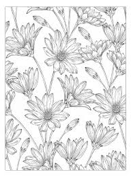 Beautiful Flowers Detailed Floral Designs Coloring Book Preview Designs Coloring Books Flower Coloring Pages Coloring Books