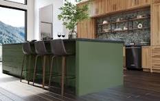 Green Kitchen with Dark Cabinets Ideas [August 2025]