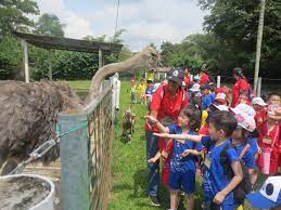 It is located just 90 minutes away from kuala lumpur in seremban. Field Trip To Jelita Ostrich Farm Seremban Ucsicdc Cheras