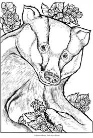 Each sheet includes a large animal for students to color with crayons, markers, colored pencils, gel pen, etc. Pin On Beautiful