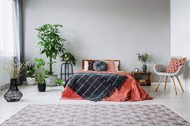 8 Calming Interior Wall Paint Ideas For
