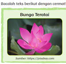 Maybe you would like to learn more about one of these? Bagaimana Bunga Teratai Beradaptasi Dengan Lingkungannya Kunci Jawaban Tema 2 Kelas 6 Sd Mi Halaman 6 Portal Jember