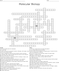 Check spelling or type a new query. Cell Division Dna Structure And Replication Crossword Puzzle Wordmint