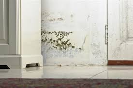 Musty smells in bedrooms caused by leaks if there is any plumbing that goes through your bedroom, you could be dealing with a leak in a wall or 5 ways to remove that musty smell from old furniture. Easy To Do Solutions To Get Rid Of Musty Smell In House Home Quicks