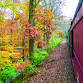 Fall Foliage Express event image