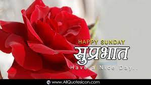 Latest inspirational photos picture in english. Hindi Good Morning Quotes Wishes For Whatsapp Life Red Rose Lovely Flowers 1400x788 Download Hd Wallpaper Wallpapertip