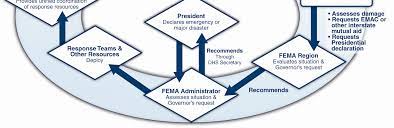 Of detention and removal operations, the federal protective service, the office of intelligence the federal emergency management agency (fema) manages federal response and recovery the largest investigative arm of dhs is ice. Https Www Fema Gov Pdf Emergency Nrf Nrf Overview Pdf