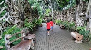 Hasil gambar untuk foto wisata bandung utara
