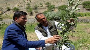 Modern Agriculture Is Changing The Lives Of Afghan Farmers