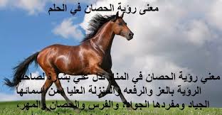 رؤية الخيل في المنام ومعاني ألوان الحصان في الحلم horses animals