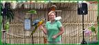 kaka 2 parrots talking voiceovers training