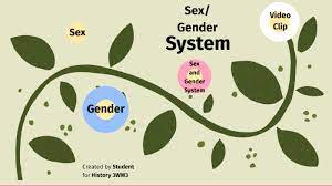 Sex Gender System By Gabrielle Iluobe