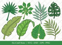 Download Tropical Leaf Clipart Png Please Use And Share These Clipart Pictures With Your Friends Kiwiichobot