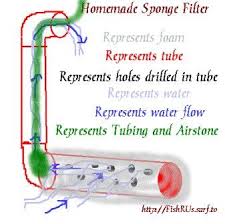 Shrimp are another species that requires. Diy Sponge Filter If You Are Like Me And Don T Have A Lot Of Money To Buy Specialised Micro Filters For Your Bettas Or Fry Then Don T Diy Sponges Sponge