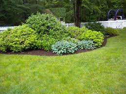 Landscape Bushes Newsonair Org Landscaping Shrubs Front Yard Landscaping Shrubs For Landscaping