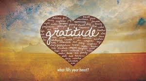 Image result for gratitude