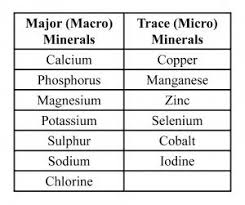 major and trace mineral chart the top 10 reasons you need a