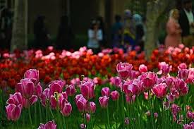 #ايران يحكمها الحرس الثوري #العراق يتحكم به الحشد #لبنان يحكمه نصر الله #اليمن يحكمه الحوثي والقادم أسوأ الشرق الأوسط مصاب بفايروس تم تصنيعه في معامل الغرب وتكفلت. Ø§Ù„Ø³ÙŠØ§Ø­Ø© ÙÙŠ Ø¥ÙŠØ±Ø§Ù† ÙˆÙŠÙƒÙŠØ¨ÙŠØ¯ÙŠØ§