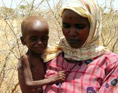Who Emro Anaemia Health Topics