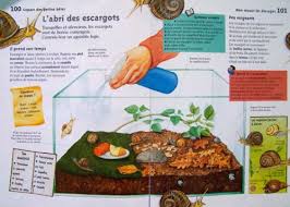 Escargots Et Langages En Maternelle Petite Moyenne Et Grande Sections Escargot Escargot Maternelle Elevage Escargot