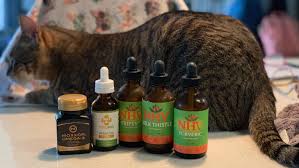 You can find the most recent iris staging guidelines here. Homeopathic Treatments I Give My Cat With Kidney Failure The Crazy Cat Lady Tips