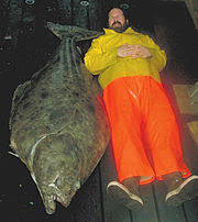 Pacific Halibut Wikipedia