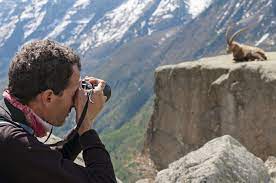 Best Cameras For Wildlife Photography Of 2021 Wildlife Photography Nature Photographs Photography Talk