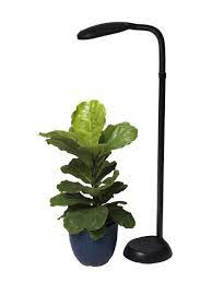 Floor Plant Lamp Full Specrum Cfl Grow Light Free Shipping Plant Lighting Led Grow Light Bulbs Floor Plants