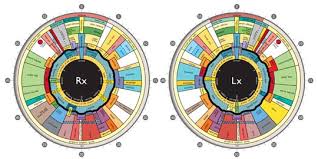 Modern Iridology John Andrews Modern Iridology Charts