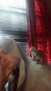 Hi from WESTERN NORTH CAROLINA!