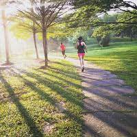 The hibiscus courtyard, which is a part of taman wawasan is on the left, just after the bridge. Taman Wawasan Recreational Park Selangor Malaysia Travelopy