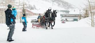 Check spelling or type a new query. Best Activities For A Multigenerational Winter Trip
