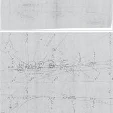 PDF) Principles and Principes: William Lyman Phillips and the palm  collection at Montgomery