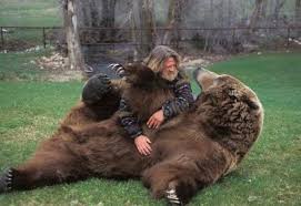 In an interview with the anchorage daily news, winnen said while he was deer hunting, he had hoped for a shot at a bear, picking up proper permits before and bringing the right gun. Kodiak The Largest Brown Bear Dinoanimals Com