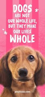 Which Dog Breed Should You Own According To Your Zodiac Sign What Dogs What Kind Of Dog Dog Breeds