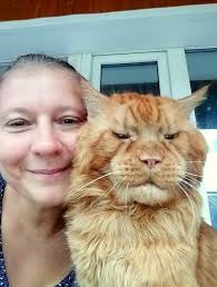 I think we are very similar.😄😼😼