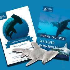 The hammerhead sharks are circling. Scalloped Hammerhead Shark Species Adoption Merchandise And Gifts