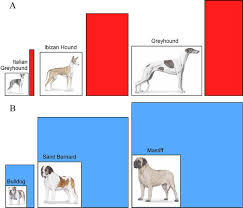 Biology Forum Biology Online Dictionary Blog Forum