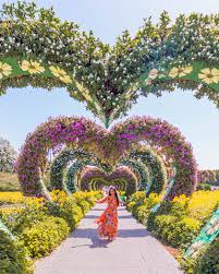 Pin On Miracle Garden