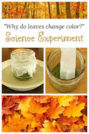 Photo by jeremy baucom (flickr creative commons). Science Experiments For Kids Why Do Leaves Change Color
