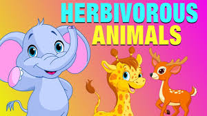 Herbivorous Animals Pictures With Names Educational Video For Kids Kidslearning Youtube