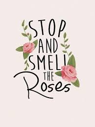 Log In Tumblr Flower Quotes Inspirational Quotes Words Quotes