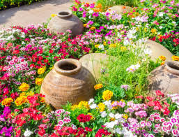 Come rain or shine, this flower is a winner—it's been known to handle the unpredictable times that come from mother nature. Get Inspired Flower Garden Ideas Designs Kellogg Garden Organics