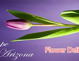 Maybe you would like to learn more about one of these? The 8 Best Options For Flower Delivery In Lexington Kentucky 2021